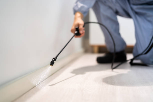 Licensed Bed Bug Control service in Burlingame, CA - Nex Pest Control