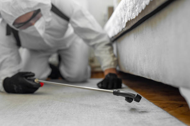 Professional Bed Bug Control technician working in Burlingame, CA