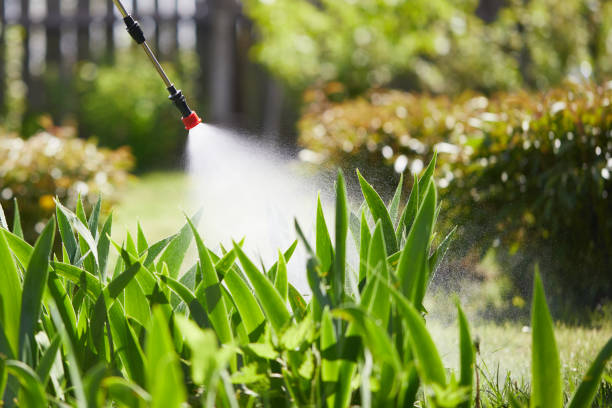 24/7 Emergency Bed Bug Control experts in Burlingame, CA