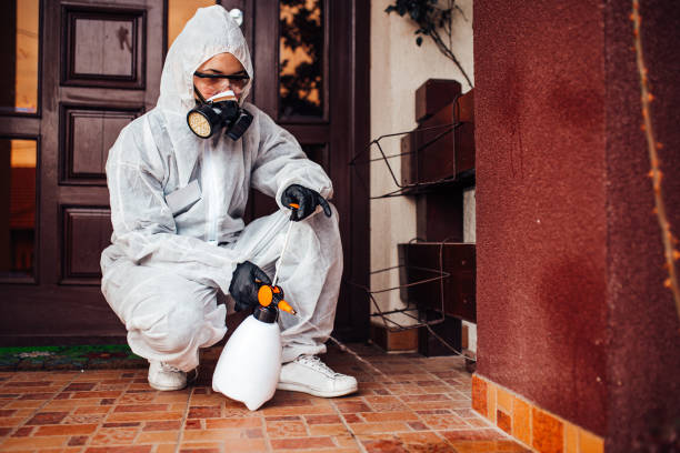 Reliable Bed Bug Control contractor in Burlingame, CA by Nex Pest Control
